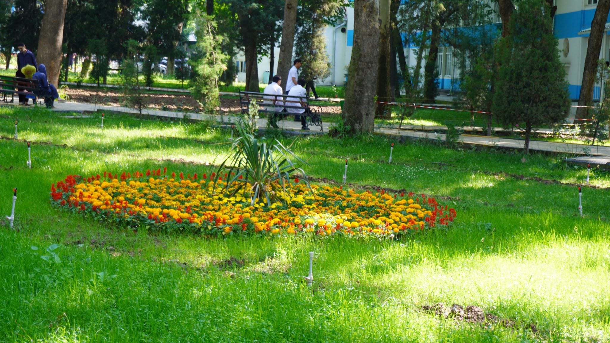 Дополнительная фотография новости